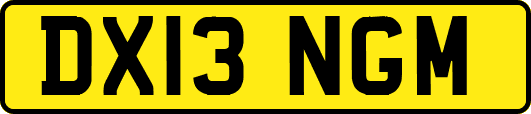 DX13NGM