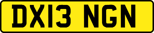 DX13NGN