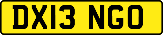 DX13NGO