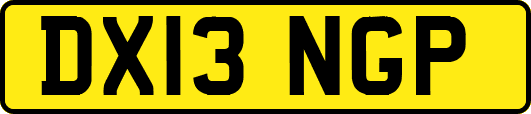 DX13NGP