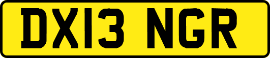 DX13NGR