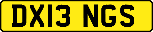 DX13NGS
