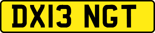 DX13NGT