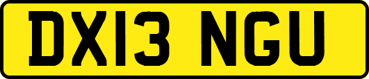 DX13NGU