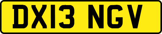 DX13NGV