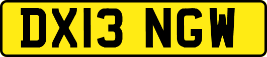 DX13NGW