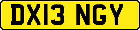 DX13NGY