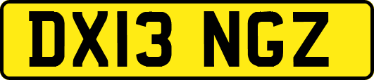 DX13NGZ