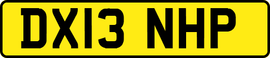 DX13NHP