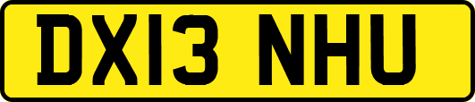 DX13NHU
