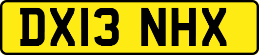 DX13NHX