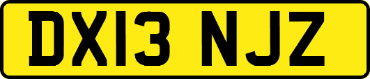 DX13NJZ