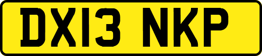 DX13NKP