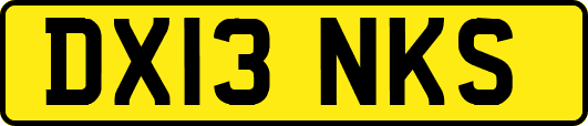 DX13NKS
