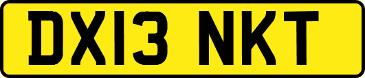 DX13NKT
