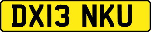 DX13NKU