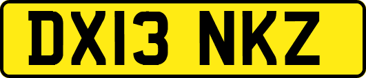 DX13NKZ