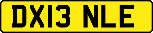 DX13NLE