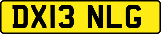 DX13NLG