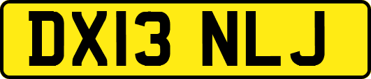 DX13NLJ