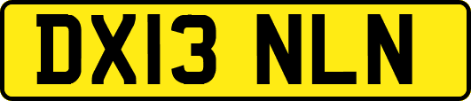 DX13NLN