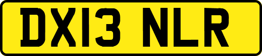 DX13NLR