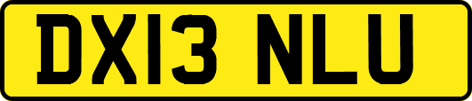 DX13NLU