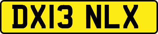 DX13NLX