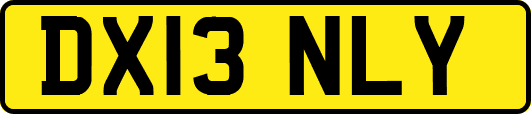 DX13NLY