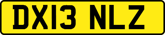DX13NLZ
