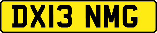 DX13NMG