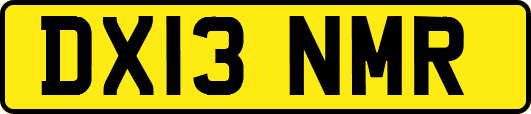 DX13NMR