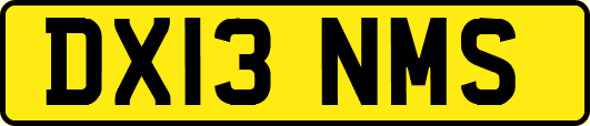 DX13NMS