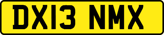 DX13NMX