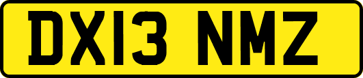 DX13NMZ