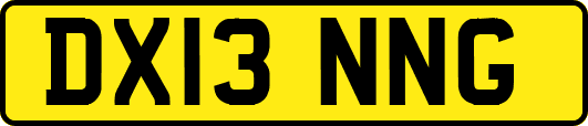 DX13NNG