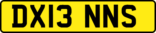 DX13NNS