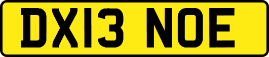 DX13NOE