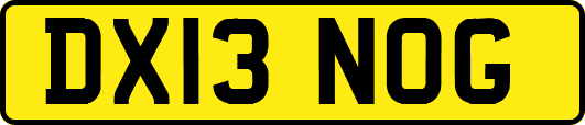 DX13NOG