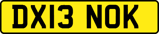 DX13NOK