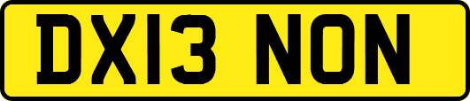 DX13NON