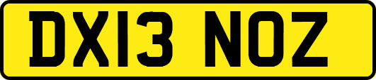 DX13NOZ
