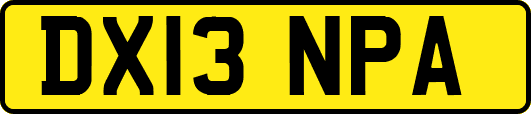 DX13NPA