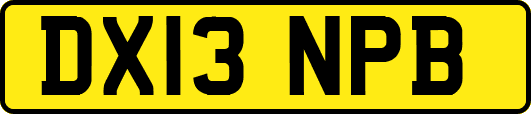 DX13NPB