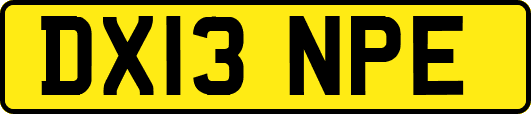 DX13NPE