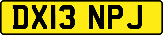 DX13NPJ