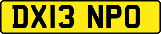DX13NPO