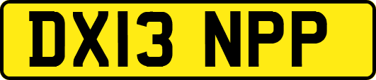 DX13NPP