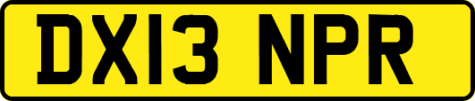 DX13NPR
