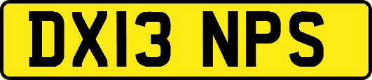 DX13NPS